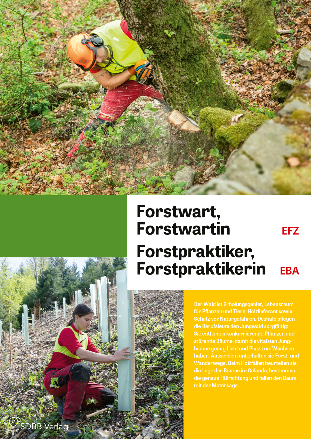 TEST Forstwart/in EFZ, Forstpraktiker/in EBA