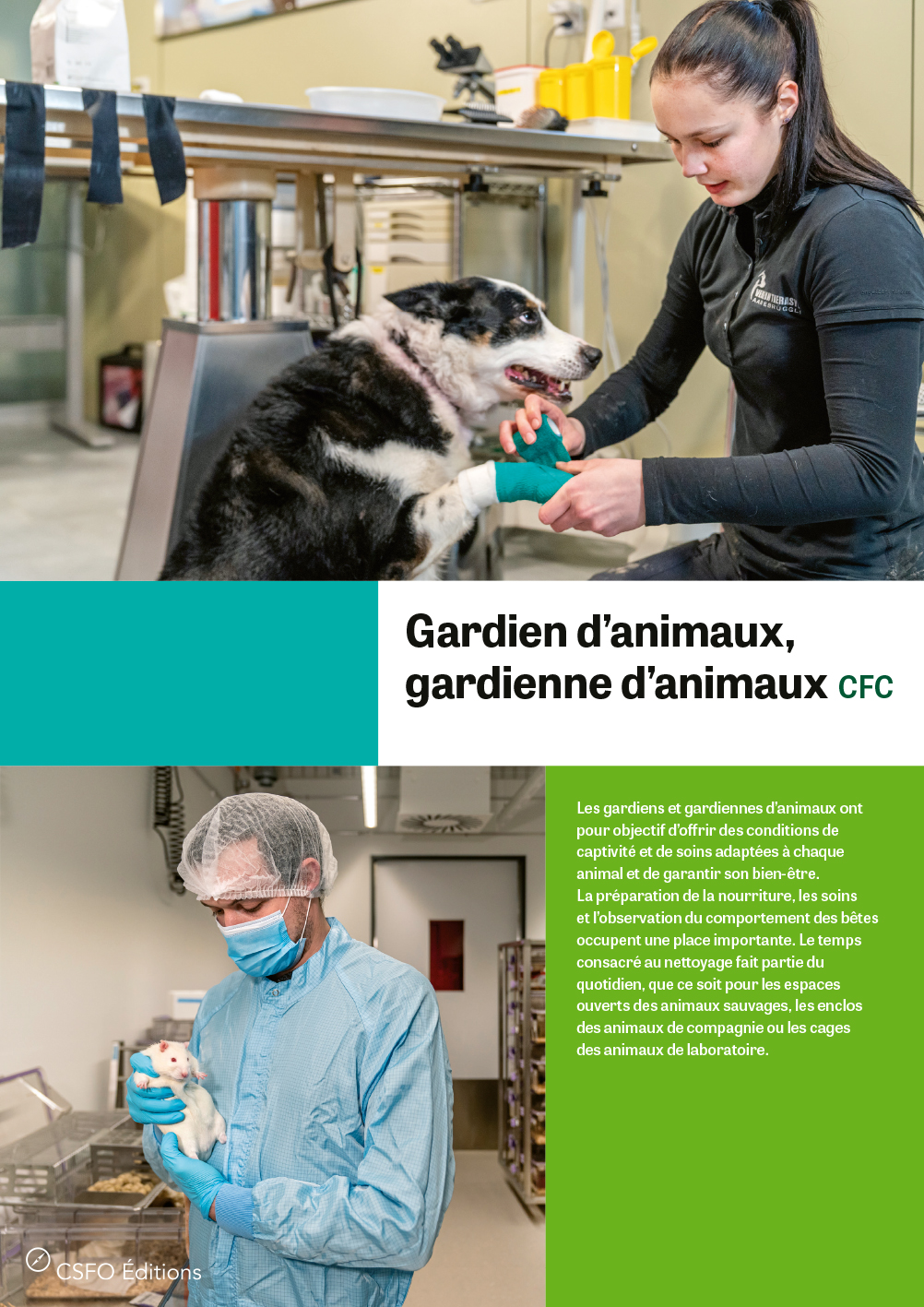 TEST Gardien/ne d'animaux