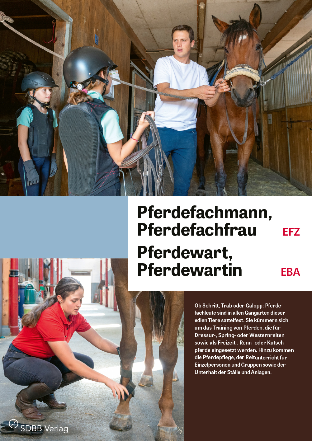 TEST Pferdefachmann/-fachfrau EFZ, Pferdewart/in EBA