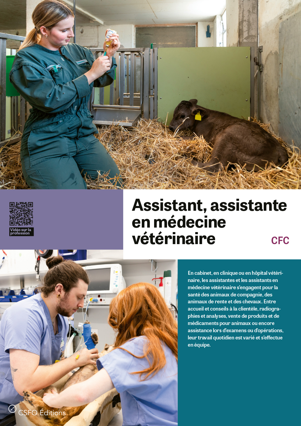 TEST Assistant/e en médecine vétérinaire