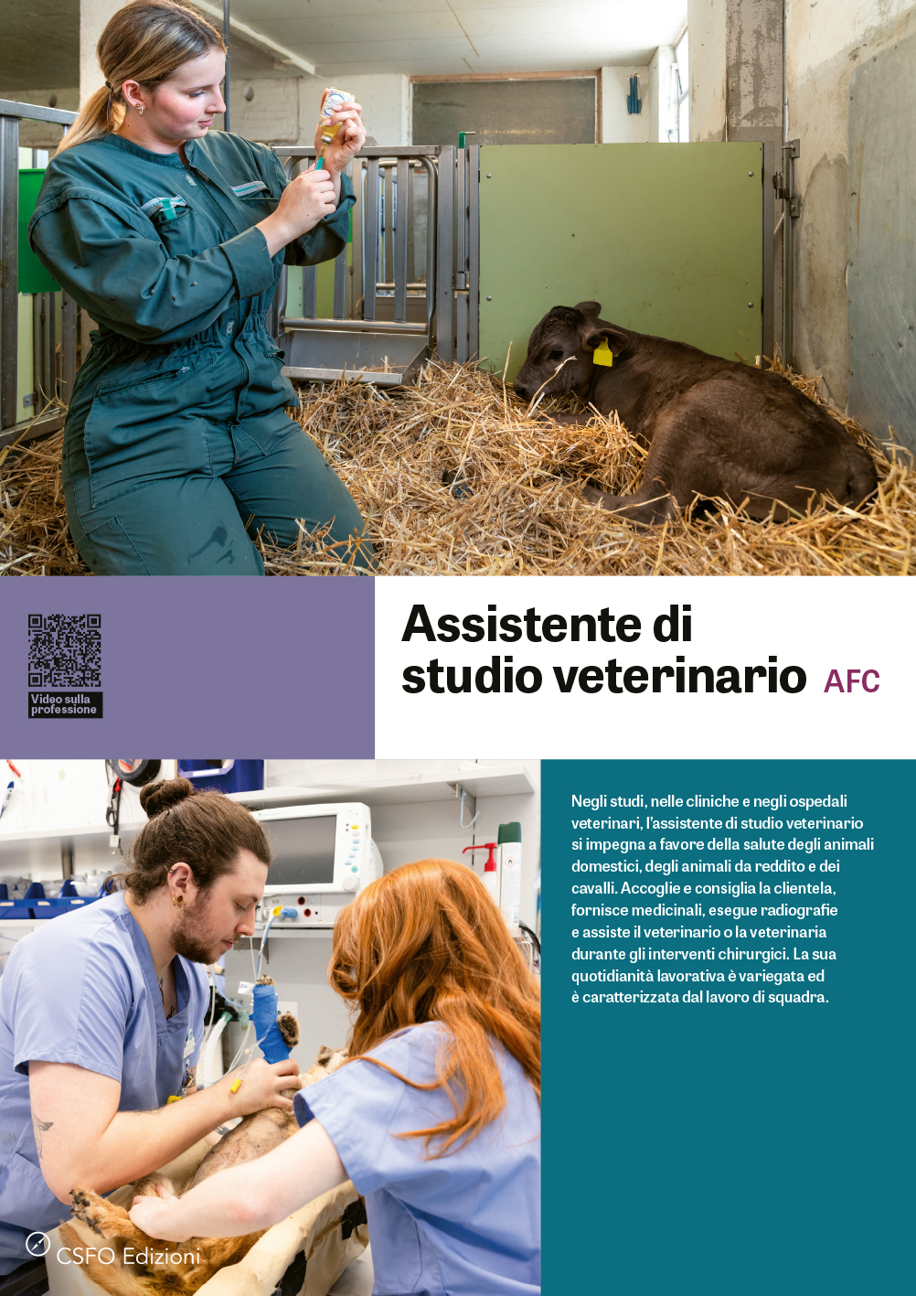 TEST Assistente di studio veterinario