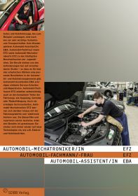 TEST Automobil-Mechatroniker/in EFZ, Automobil-Fachmann/-frau EFZ, Automobil-Assistent/in EBA